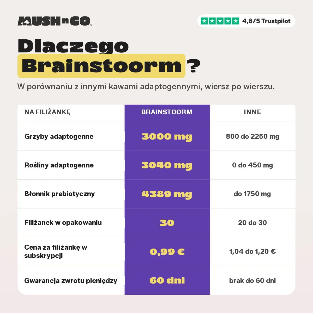 Dlaczego Brainstoorm, punkt po punkcie