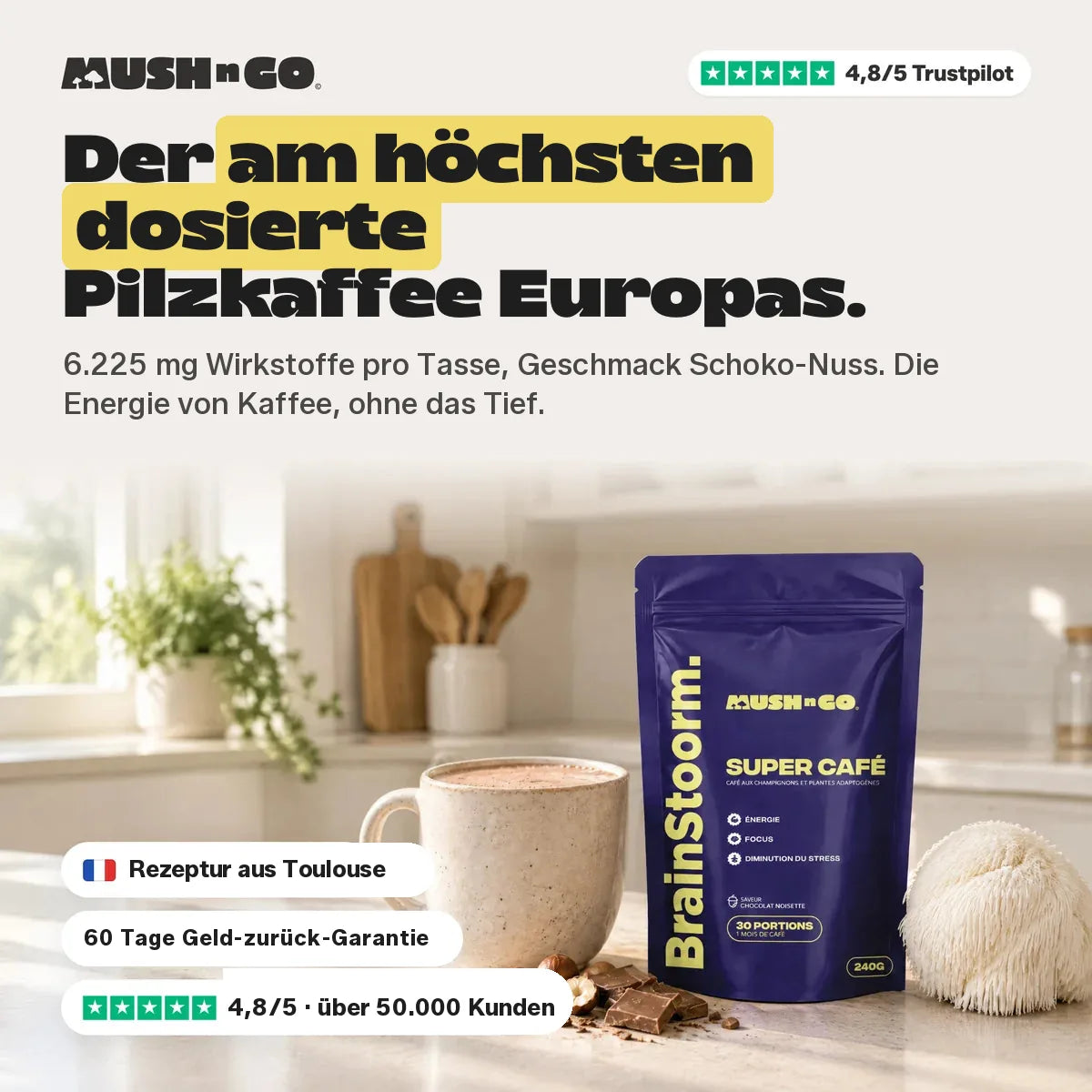 Brainstoorm Chocolat, der höchstdosierte Pilzkaffee Frankreichs