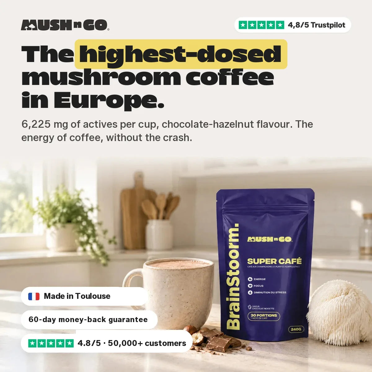 Brainstoorm Chocolat, the highest-dosed mushroom coffee in France