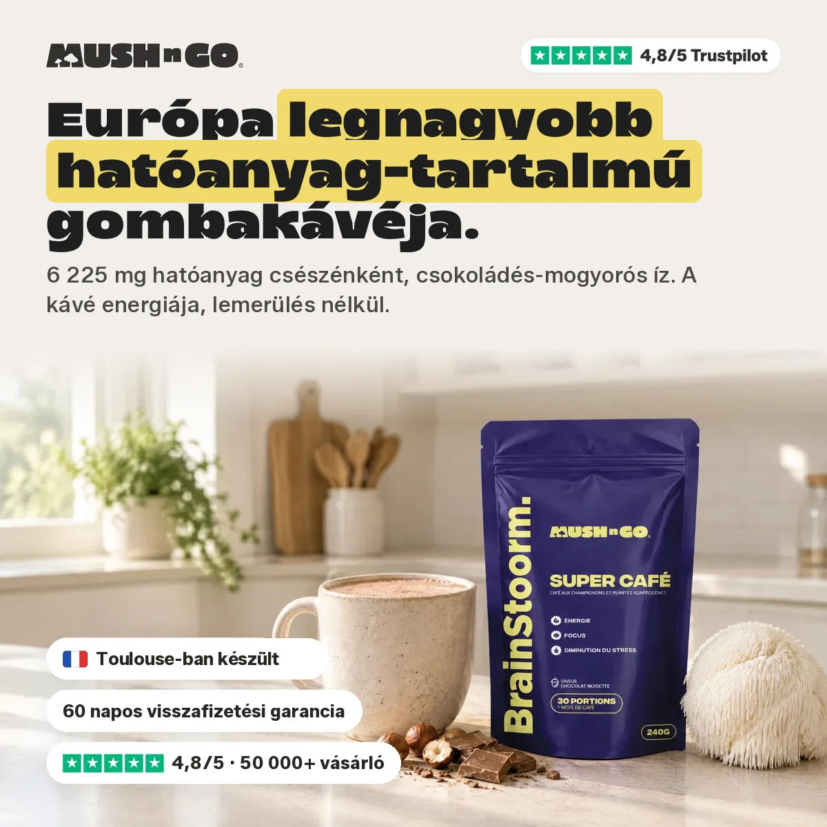 Brainstoorm Chocolat, a legerősebben adagolt gombakávé Európából