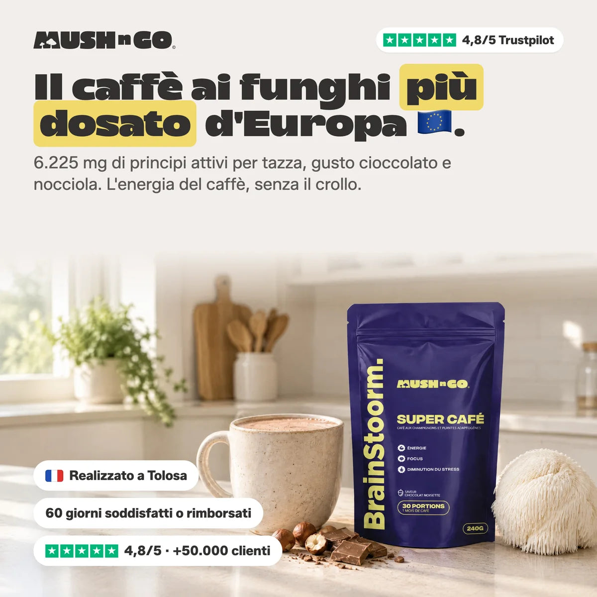 Brainstoorm Choco, il caffè ai funghi più dosato d'Europa