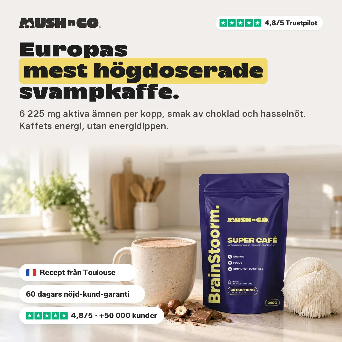 Brainstoorm Chocolat, Europas mest högdoserade svampkaffe