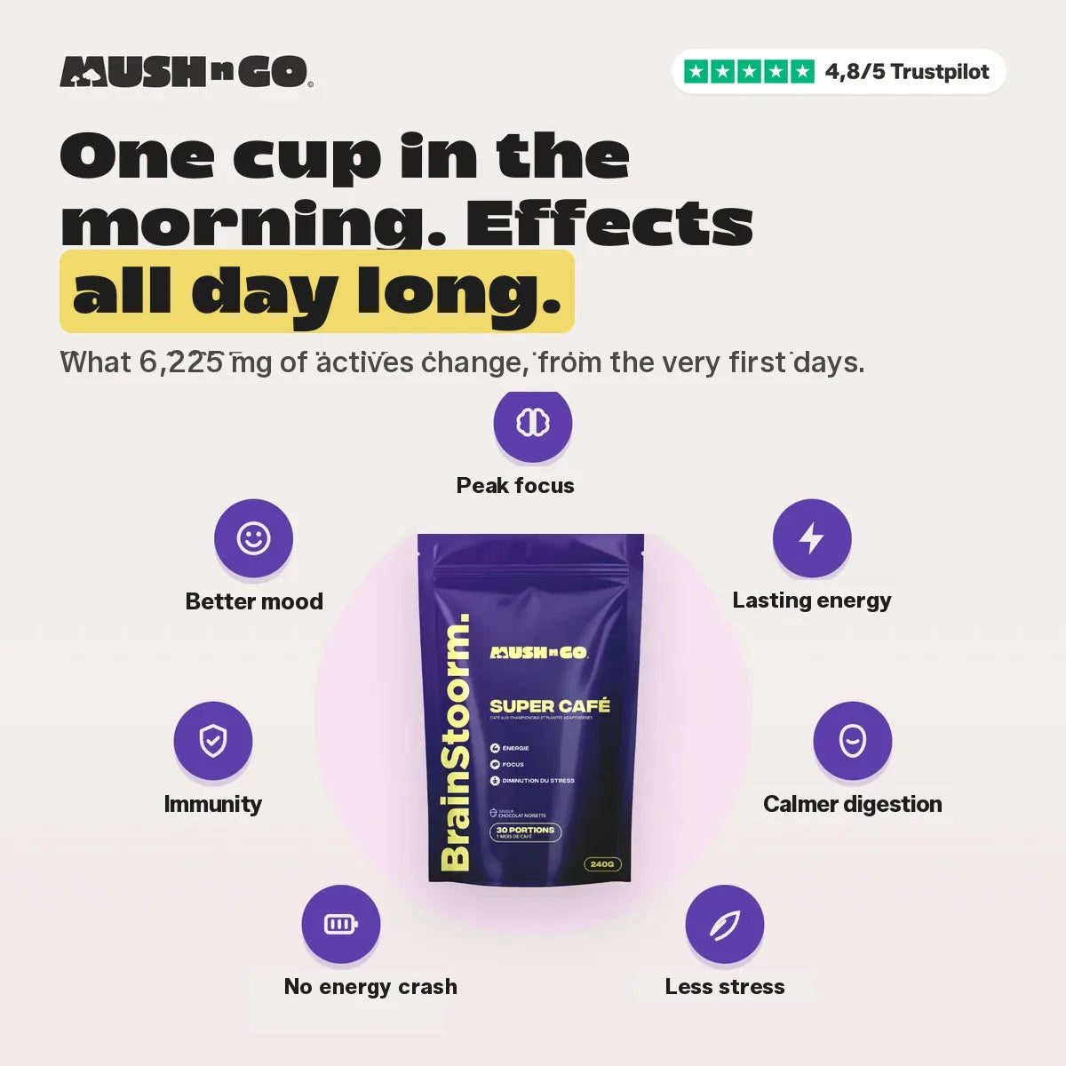 One cup in the morning, effects all day long