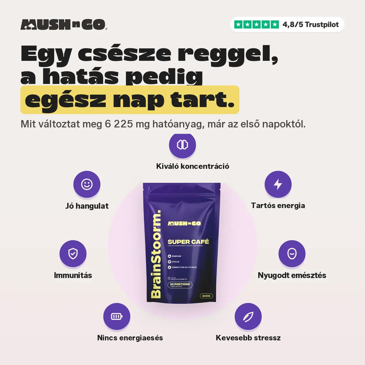 Egy csésze reggel, hatás egész nap