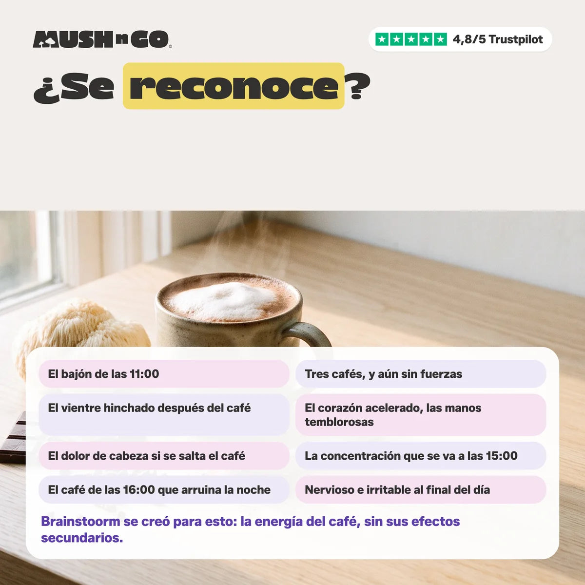 ¿Se reconoce?