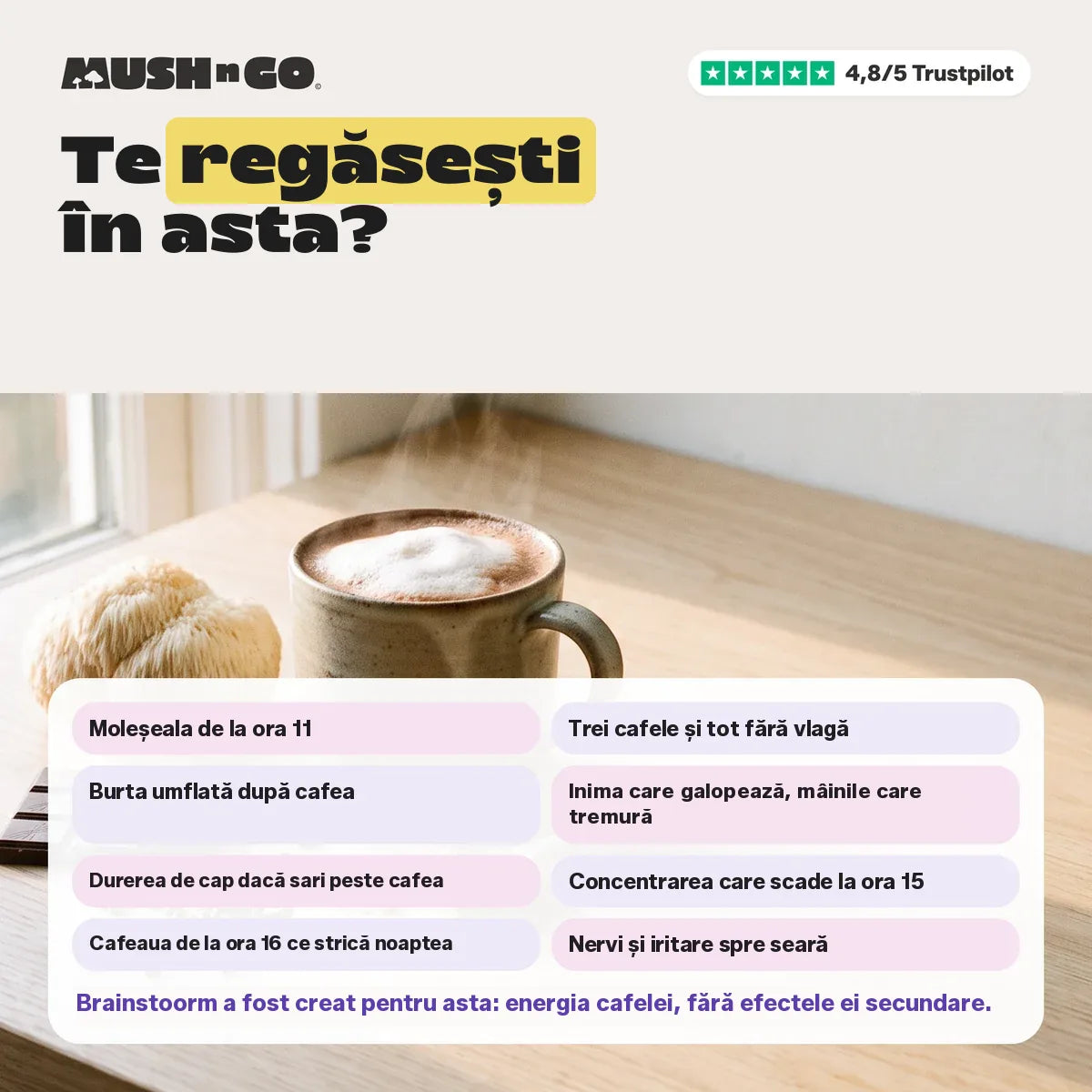Te regăsești?