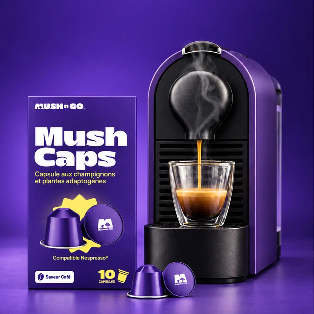 La boîte Mush Caps et la tasse prête
