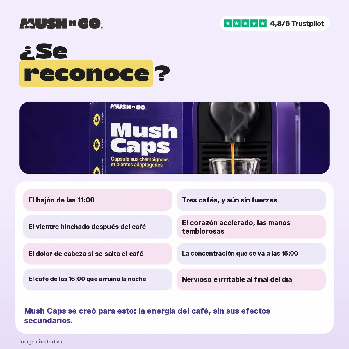 ¿Se reconoce? Los pequeños defectos del café clásico