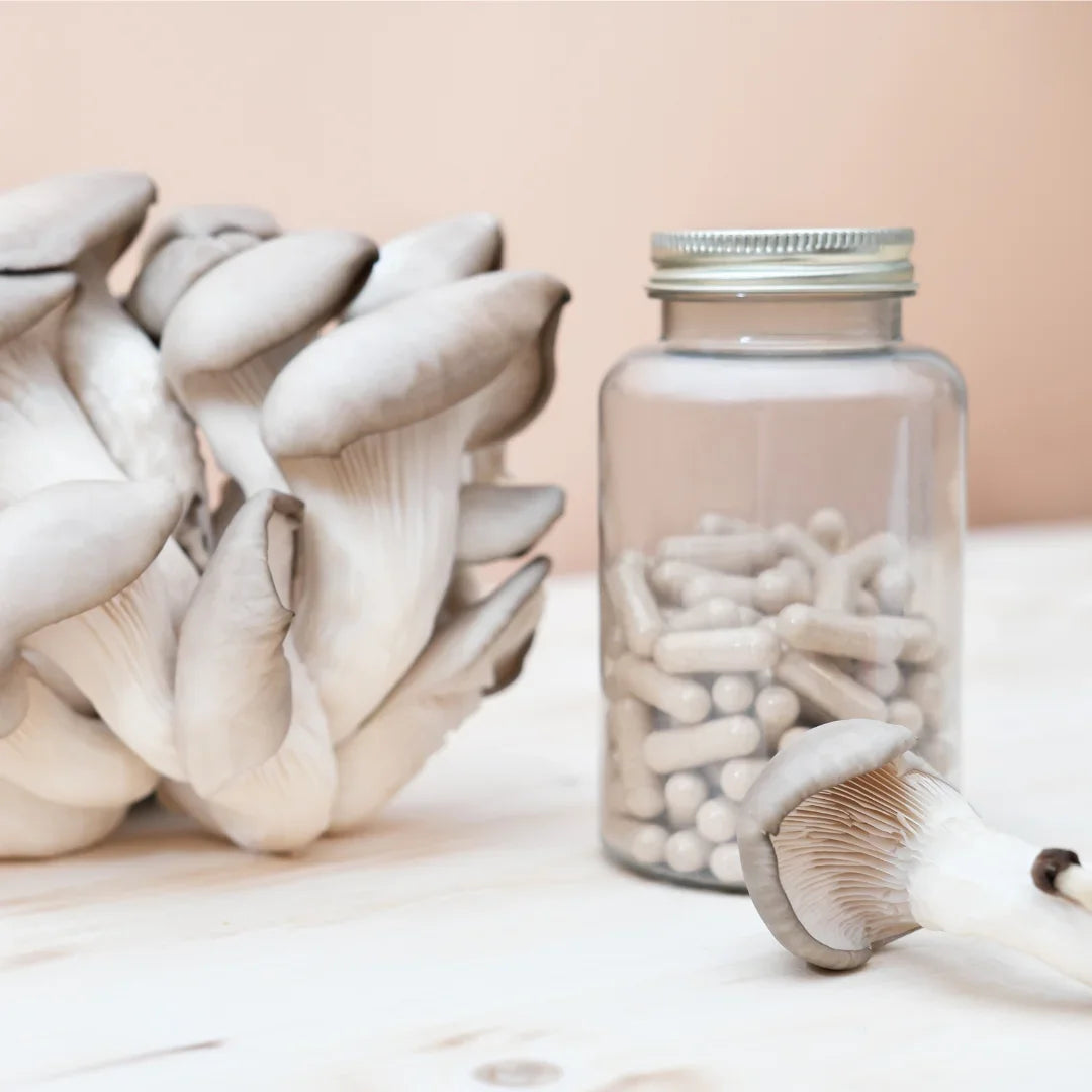 Introduzione ai Funghi Adattogeni