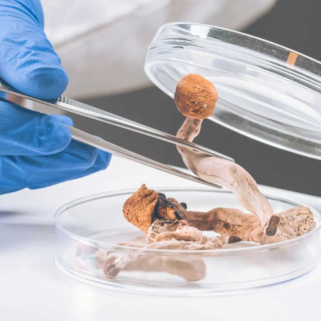 Evidenze Scientifiche di Efficacia