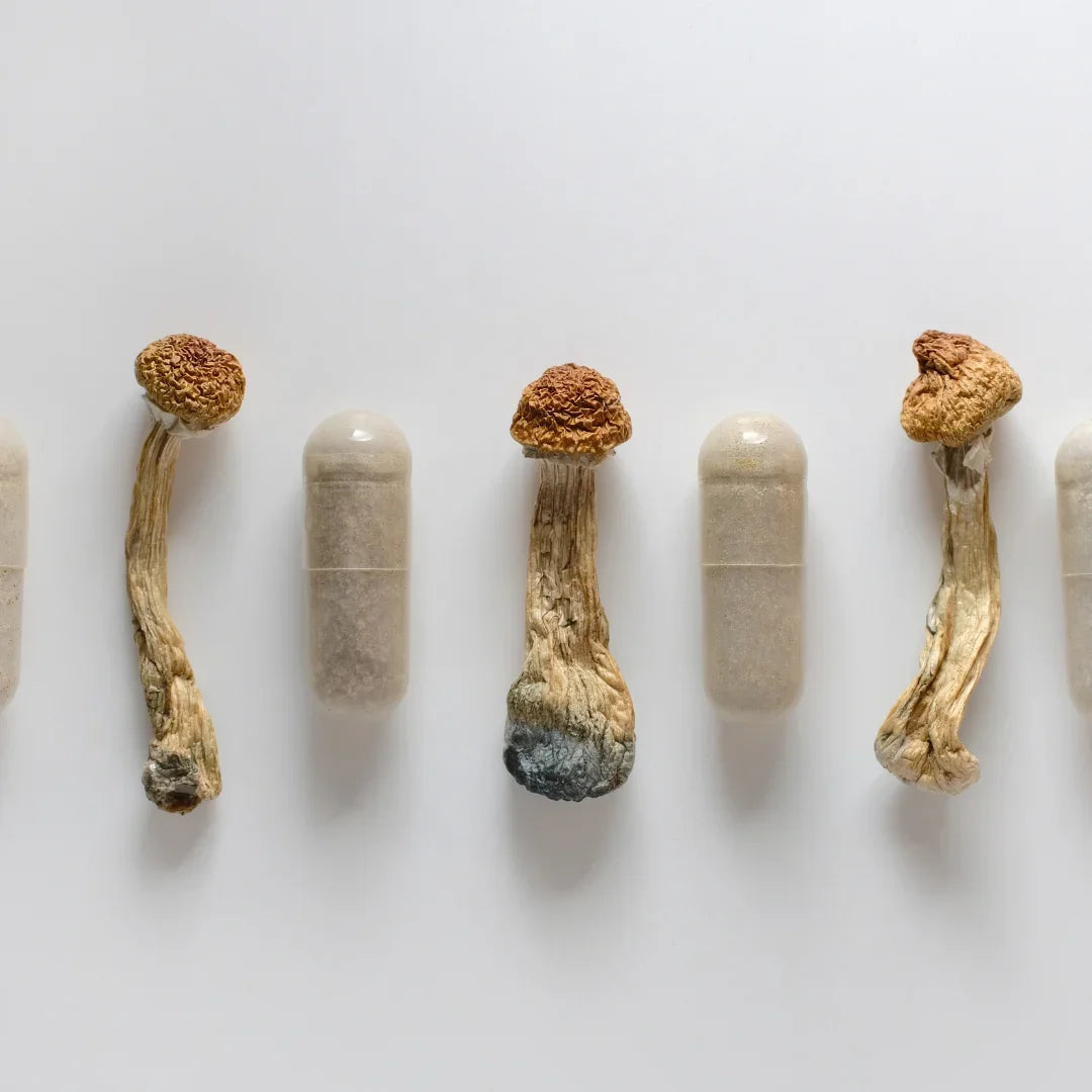 Perché i funghi adattogeni sono sconosciuti?