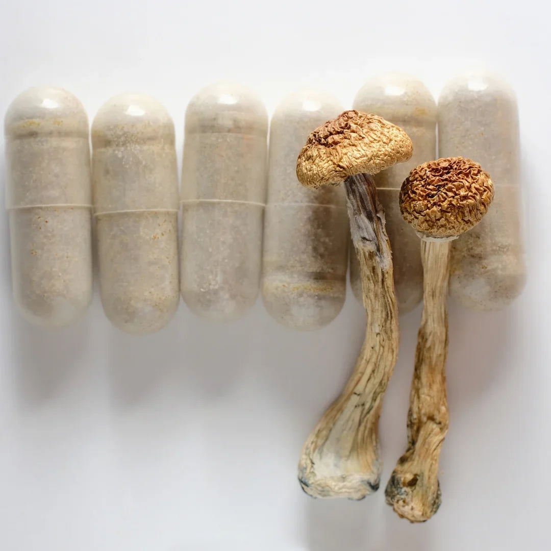 Coltivazione e Selezione dei Funghi