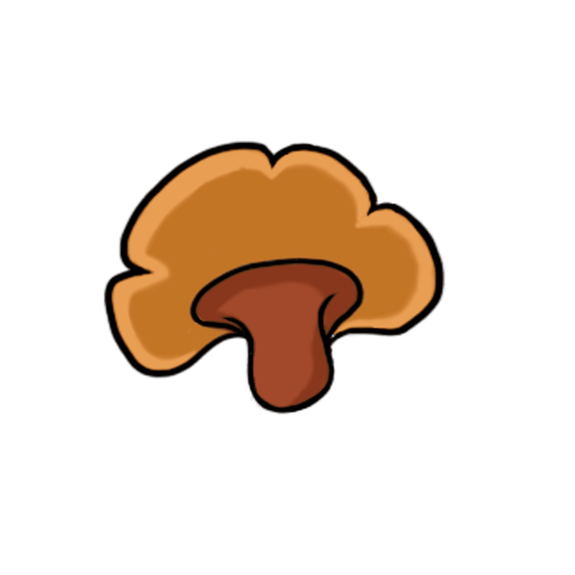 Reishi