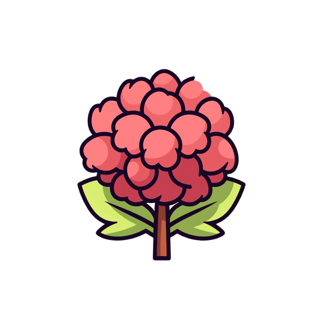 Rhodiola